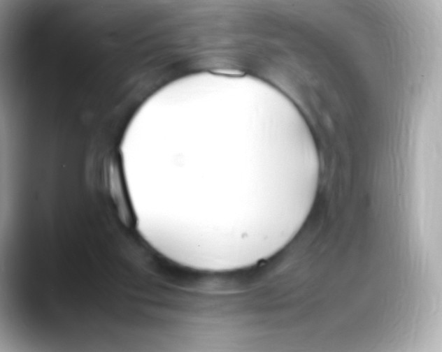 X0000088150109200706042037