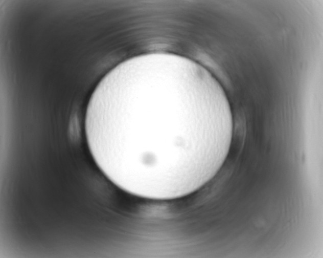 X0000088150110200706042037