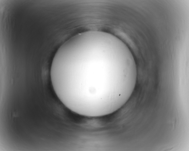 X0000088150113200706042037