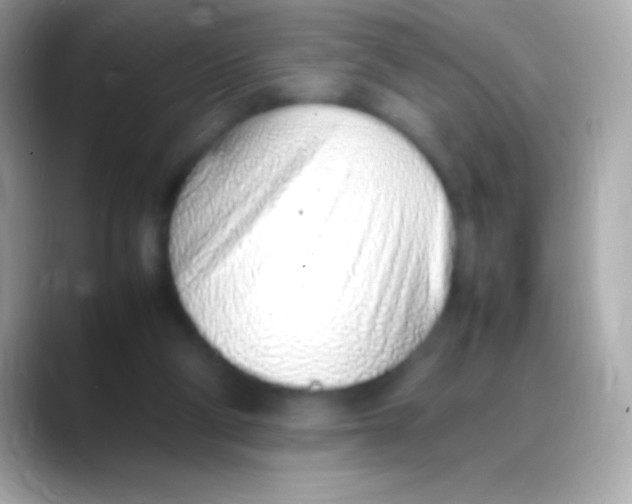 X0000088150114200706042037