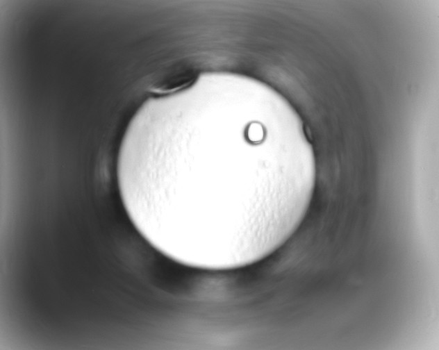 X0000088150115200706042037