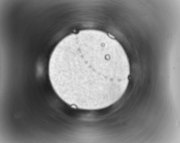 X0000088150116200706042037