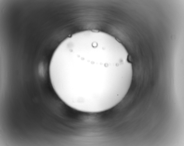 X0000088150118200706042037