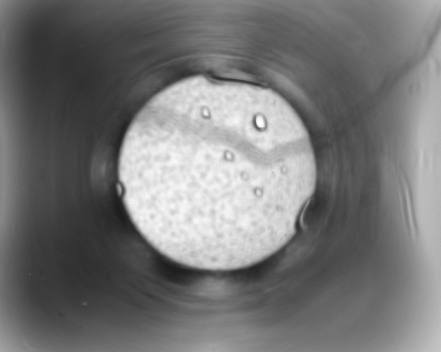 X0000088150119200706042037