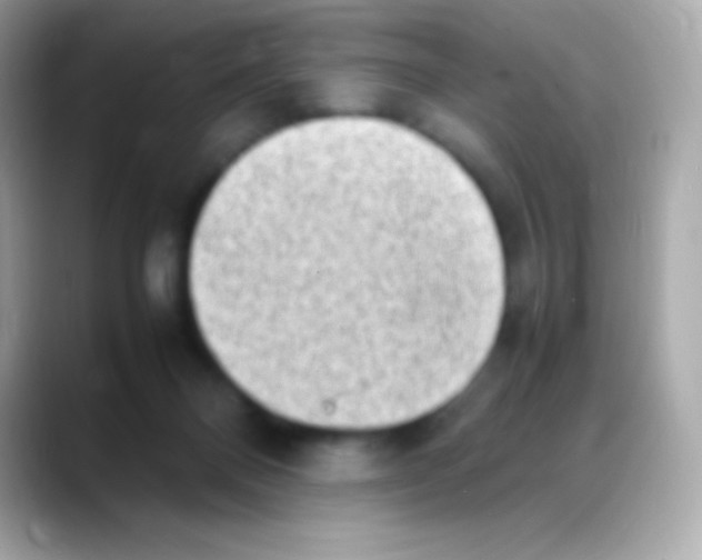 X0000088150120200706042037