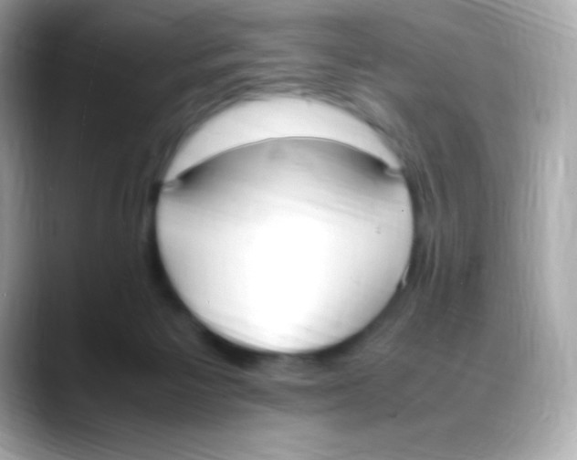 X0000088150125200706042037