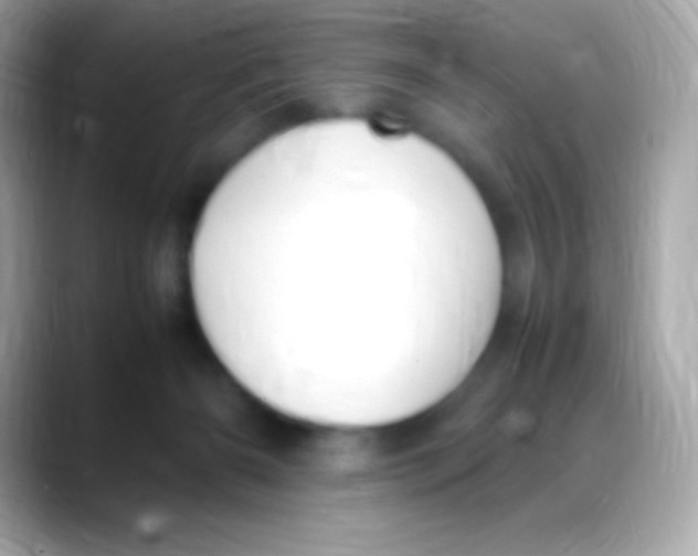 X0000088150126200706042037