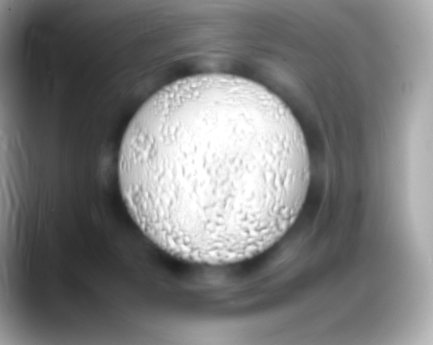 X0000088150127200706042037