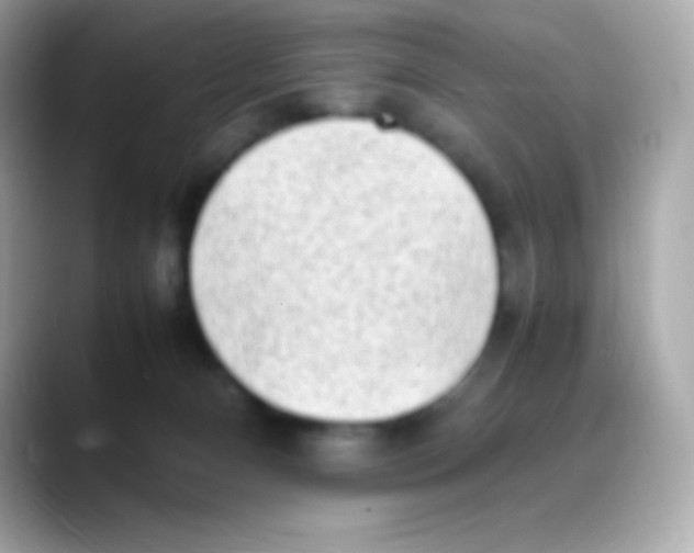 X0000088150128200706042037