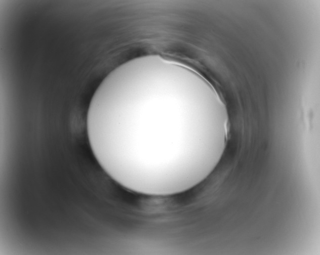 X0000088150129200706042037