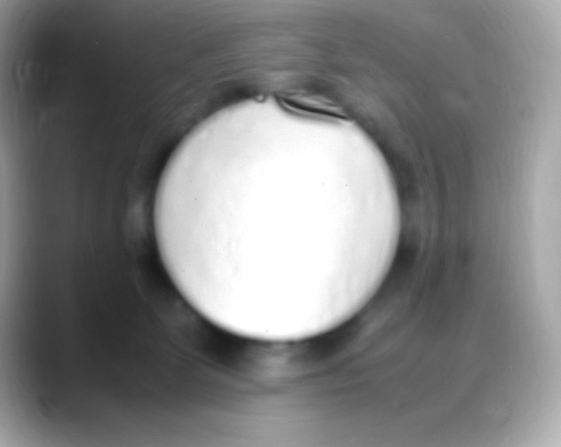 X0000088150131200706042037