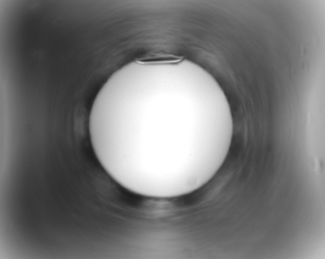 X0000088150133200706042037