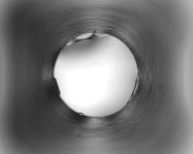 X0000088150141200706042036