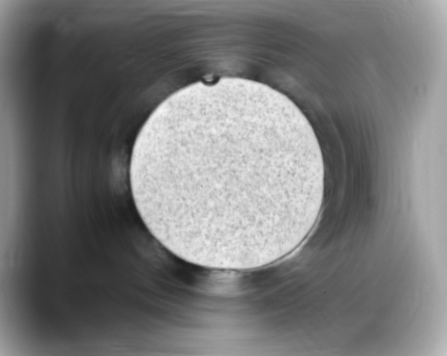 X0000088150144200706042036