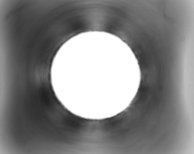 X0000088150146200706042036