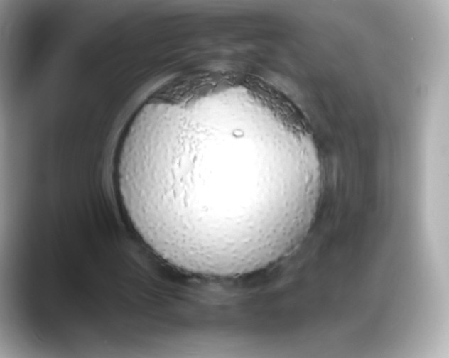 X0000088150147200706042036