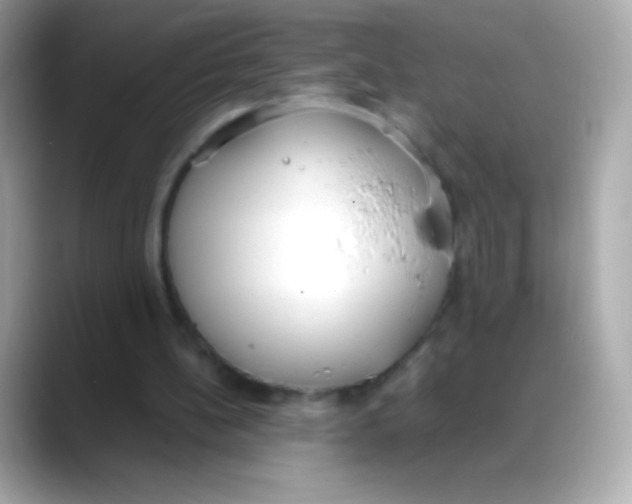 X0000088150148200706042036