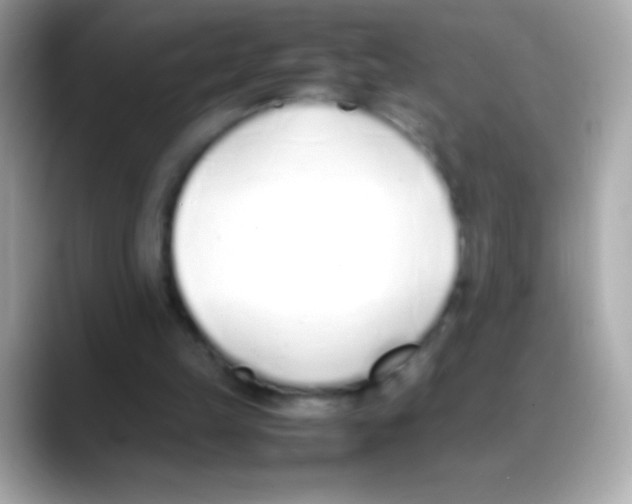 X0000088150149200706042036