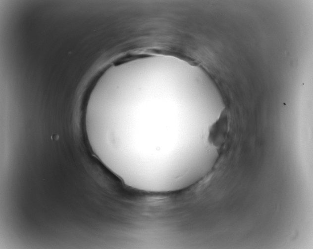 X0000088150150200706042036