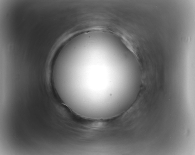 X0000088150152200706042036