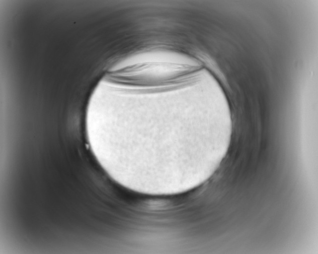 X0000088150154200706042036