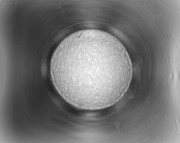 X0000088150158200706042036