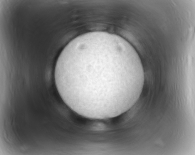 X0000088150159200706042036