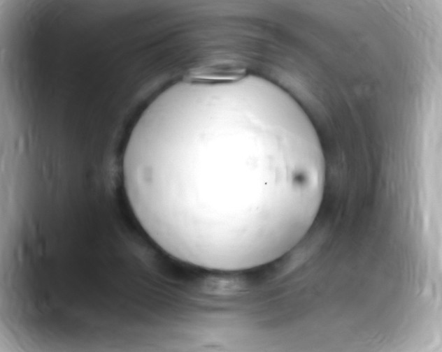 X0000088150160200706042036