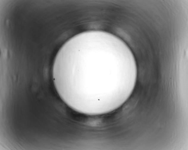 X0000088150161200706042036