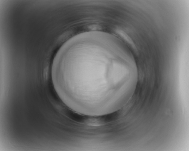 X0000088150163200706042036