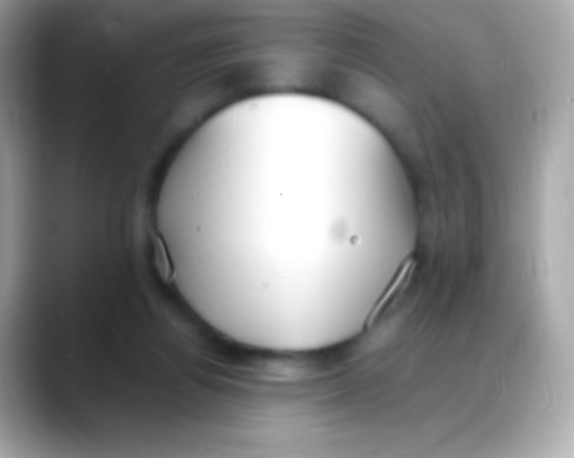 X0000088150164200706042036