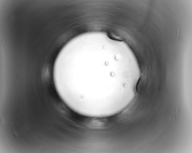 X0000088150166200706042036