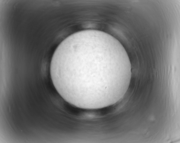 X0000088150171200706042036