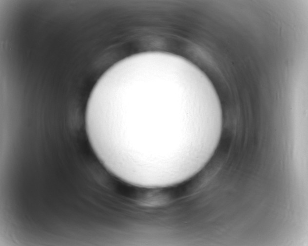 X0000088150173200706042036