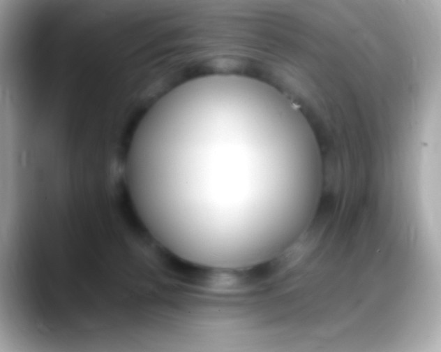 X0000088150176200706042036