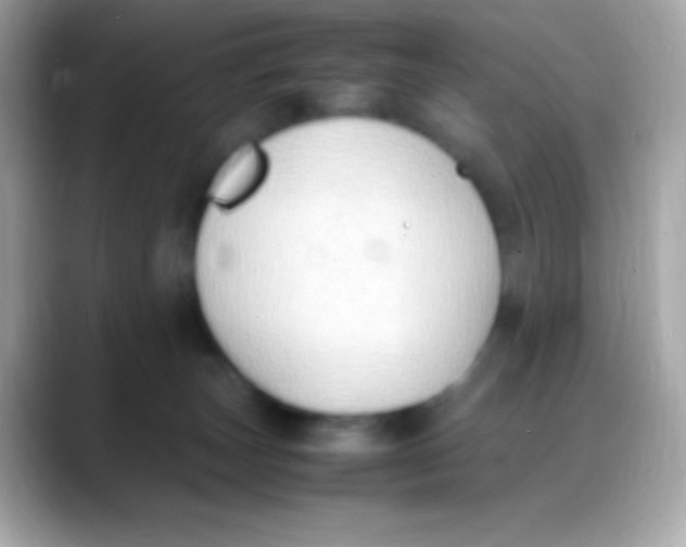 X0000088150179200706042036