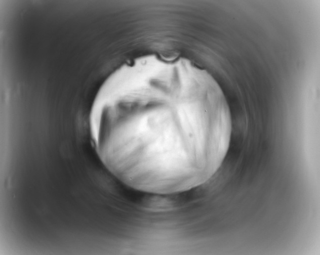 X0000088150180200706042036