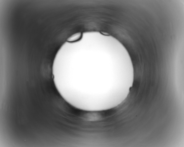 X0000088150183200706042036