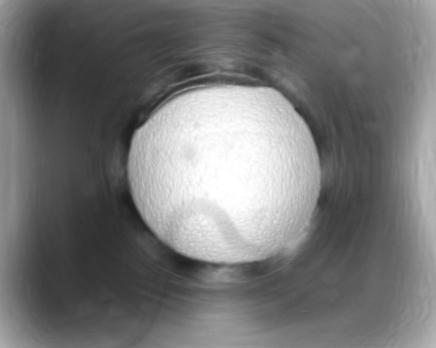 X0000088150186200706042036