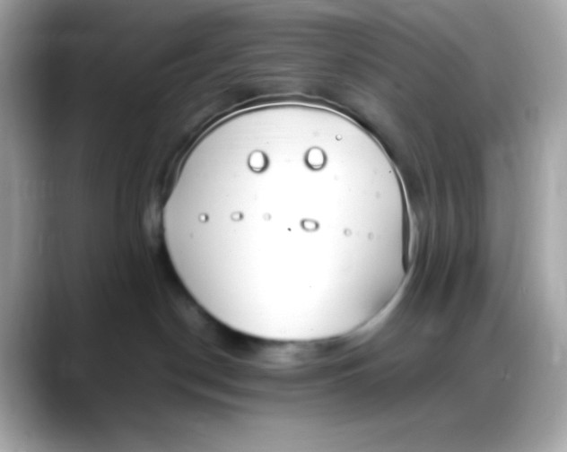 X0000088150190200706042036