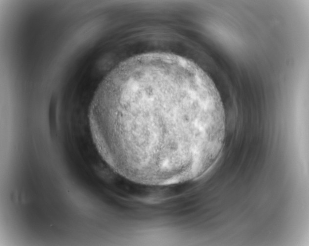 X0000088150191200706042036