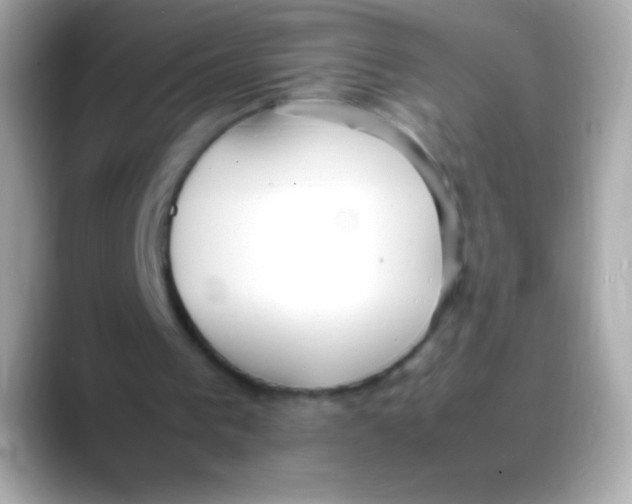 X0000088150193200706042036