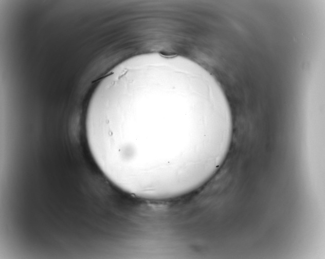 X0000088150194200706042036