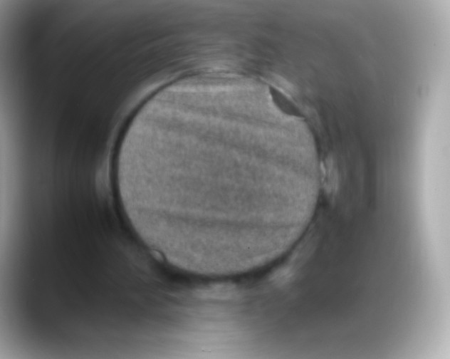 X0000088150196200706042036