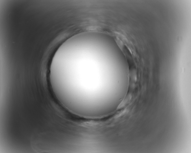 X0000088150197200706042036