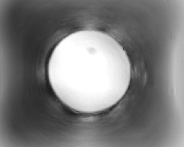 X0000088150198200706042036