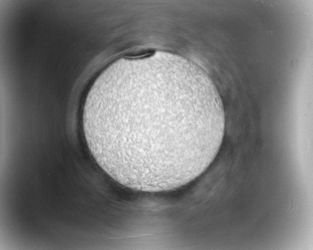 X0000088150199200706042036