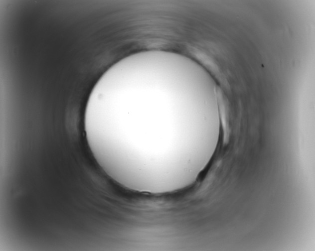 X0000088150201200706042036