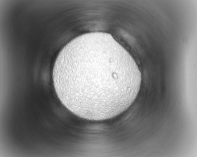 X0000088150202200706042036