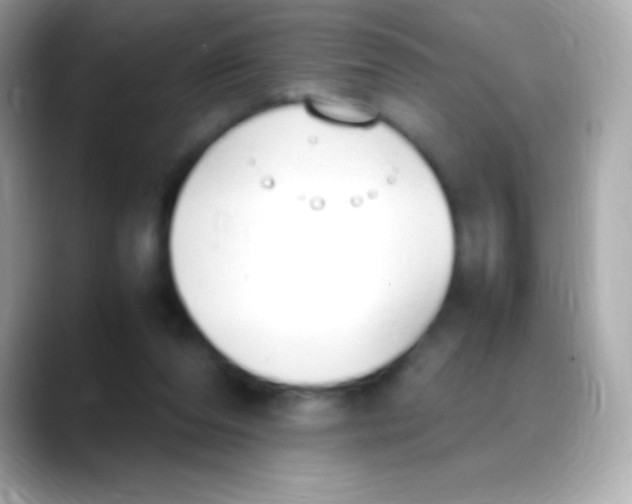 X0000088150208200706042036